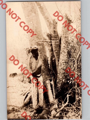 C1912 zapatista revolutionario - zapatista,